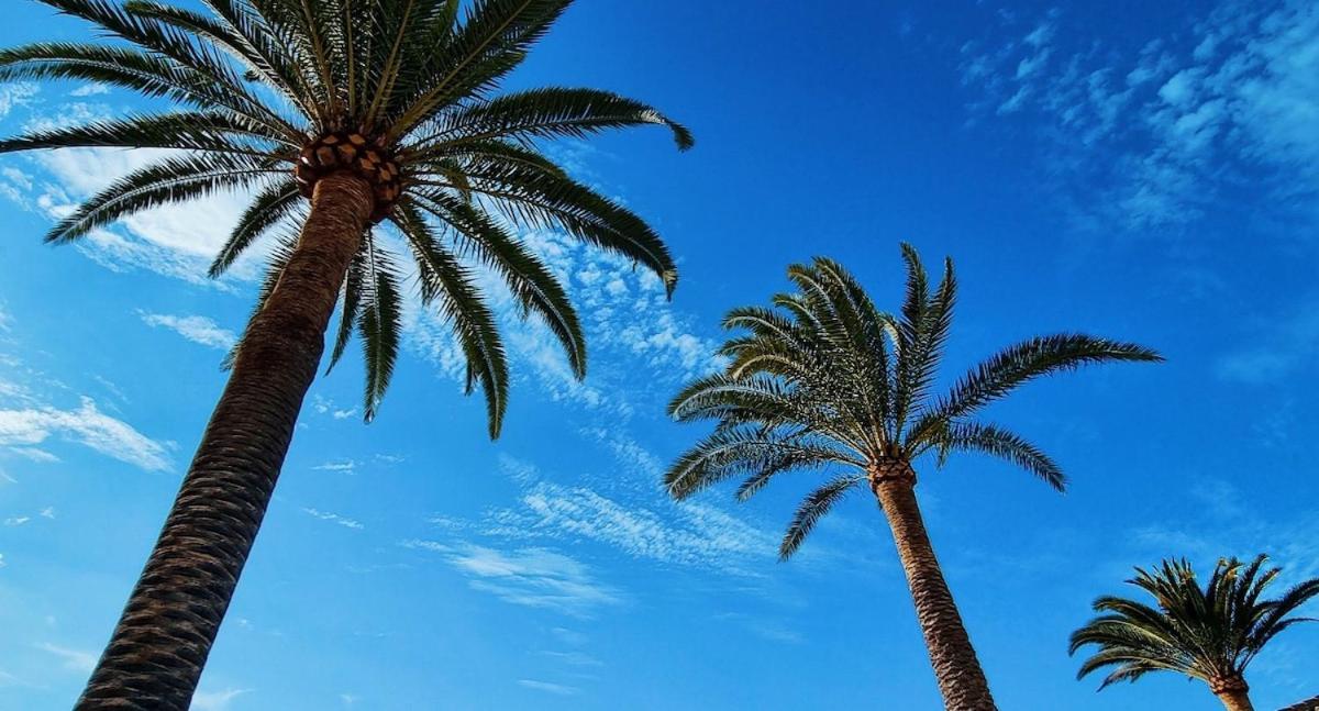 Maresia Village Los Realejos Kültér fotó